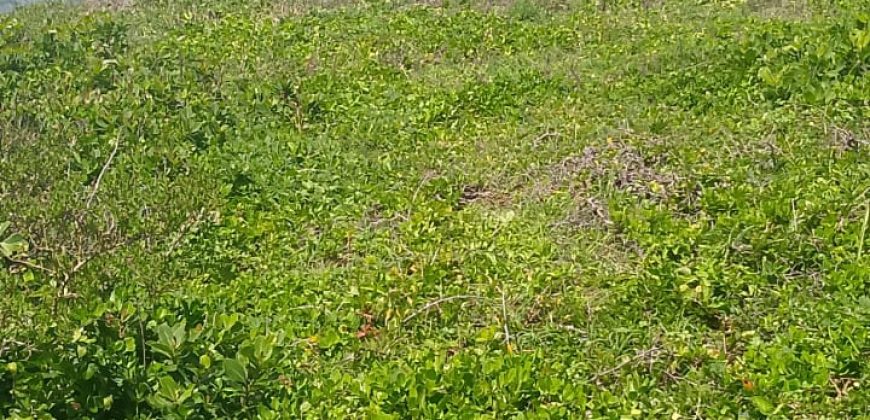Prime 1 Acres Ocean Front For Sale in Kilifi