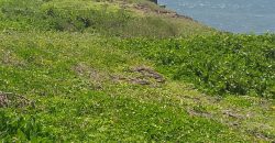 Prime 1 Acres Ocean Front For Sale in Kilifi