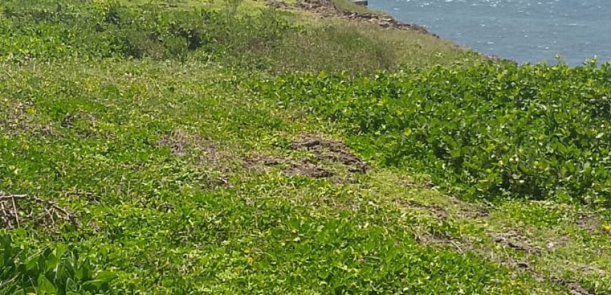 Prime 1 Acres Ocean Front For Sale in Kilifi