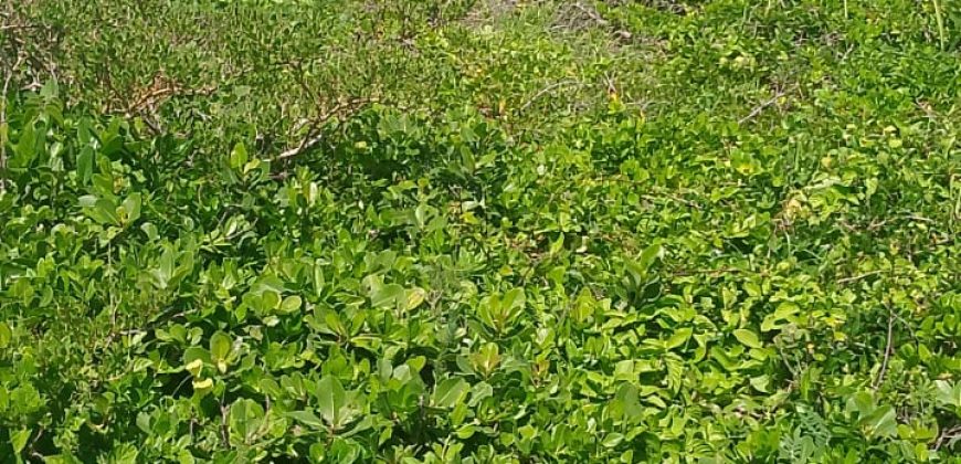 Prime 1 Acres Ocean Front For Sale in Kilifi