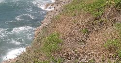 Prime 1 Acres Ocean Front For Sale in Kilifi