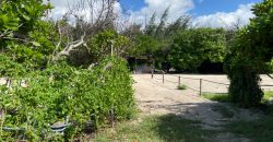 Prime Beach Front Land for Sale in Vipingo