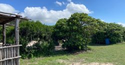 Prime Beach Front Land for Sale in Vipingo