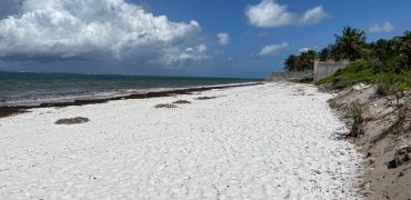Prime 5 Acres Commercial Ocean Front Land For Sale in Nyali Mombasa