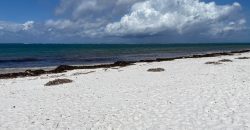 Prime 5 Acres Commercial Ocean Front Land For Sale in Nyali Mombasa