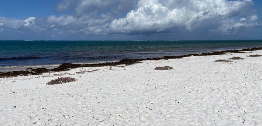 Prime 5 Acres Commercial Ocean Front Land For Sale in Nyali Mombasa