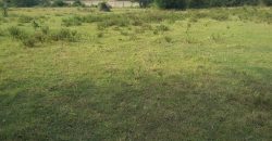 Prime 2 Acre Land For Sale in Ongata Rongai