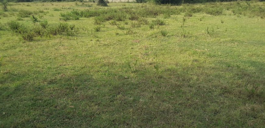 Prime 2 Acre Land For Sale in Ongata Rongai