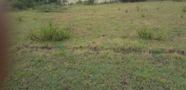 Prime 2 Acre Land For Sale in Ongata Rongai
