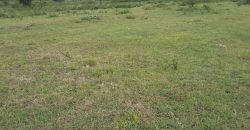 Prime 2 Acre Land For Sale in Ongata Rongai