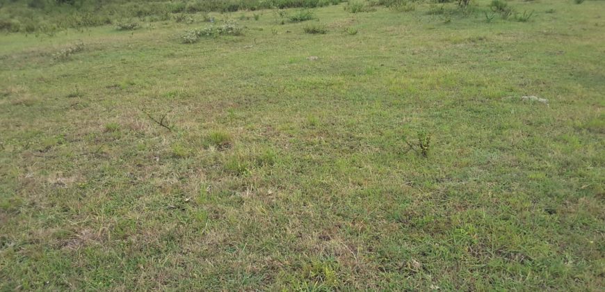 Prime 2 Acre Land For Sale in Ongata Rongai