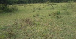 Prime 2 Acre Land For Sale in Ongata Rongai