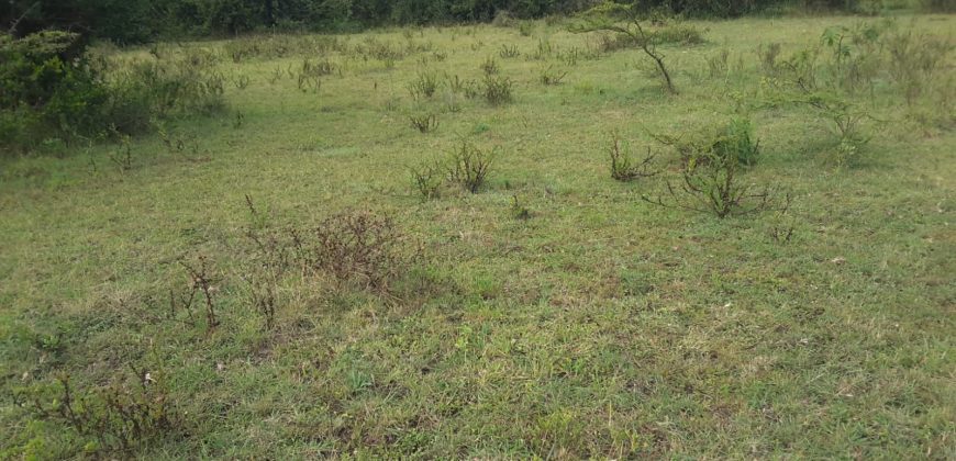 Prime 2 Acre Land For Sale in Ongata Rongai