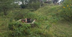 Prime 2 Acre Land For Sale in Ongata Rongai