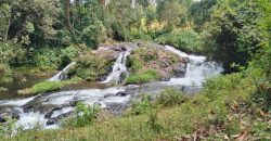 Prime Land Touching The River