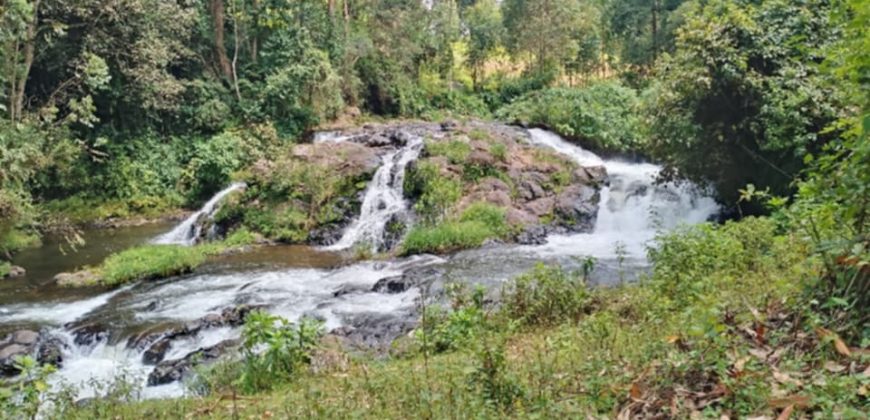 Prime Land Touching The River