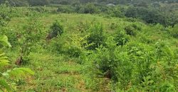 Mavueni Prime1 Acre Land For Sale