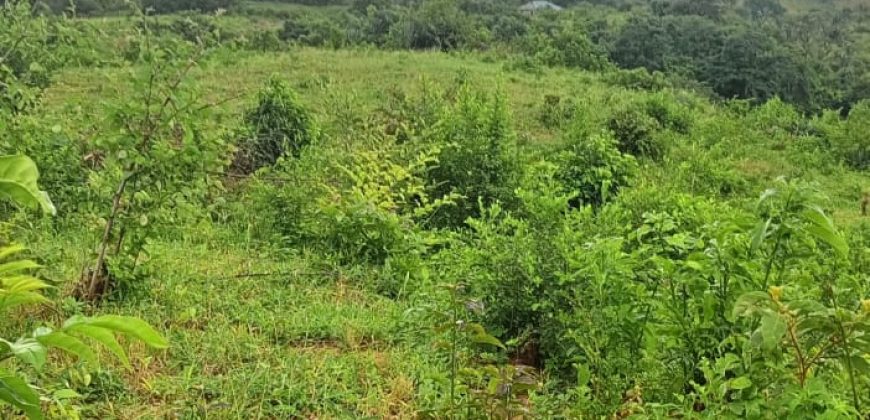 Mavueni Prime1 Acre Land For Sale
