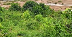 Mavueni Prime1 Acre Land For Sale