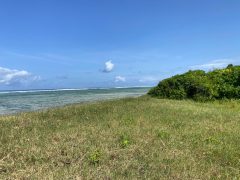 Prime 1 Acre Beach Front For Sale in Vipingo