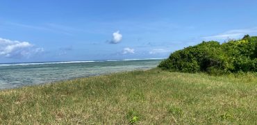 Prime 1 Acre Beach Front For Sale in Vipingo