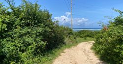 Prime 1 Acre Beach Front For Sale in Vipingo