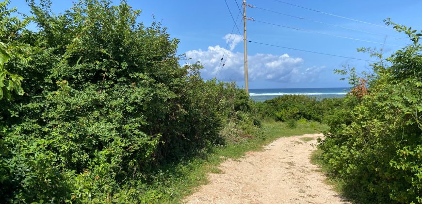 Prime 1 Acre Beach Front For Sale in Vipingo