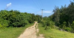 Prime 1 Acre Beach Front For Sale in Vipingo