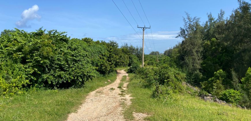 Prime 1 Acre Beach Front For Sale in Vipingo
