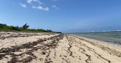 Prime 1 Acre Beach Front For Sale in Vipingo