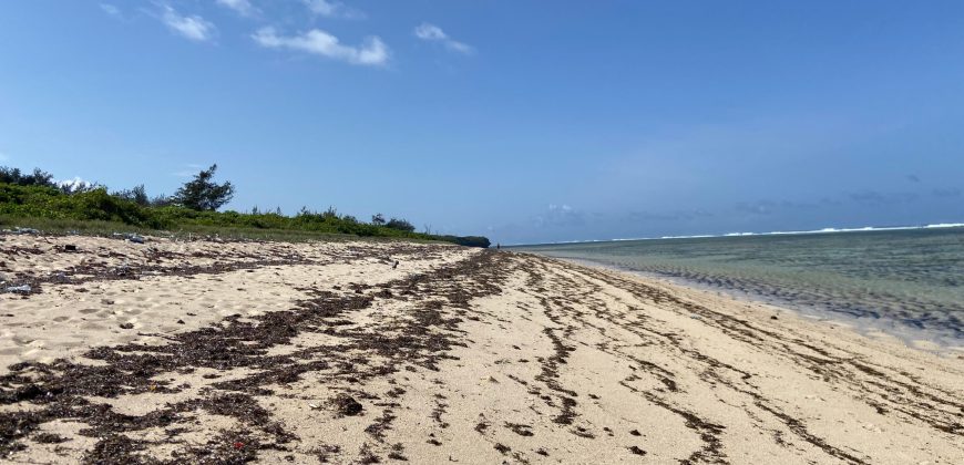 Prime 1 Acre Beach Front For Sale in Vipingo