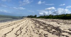 Prime 1 Acre Beach Front For Sale in Vipingo