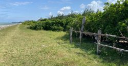 Prime 1 Acre Beach Front For Sale in Vipingo
