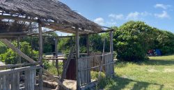 Prime 1 Acre Beach Front For Sale in Vipingo