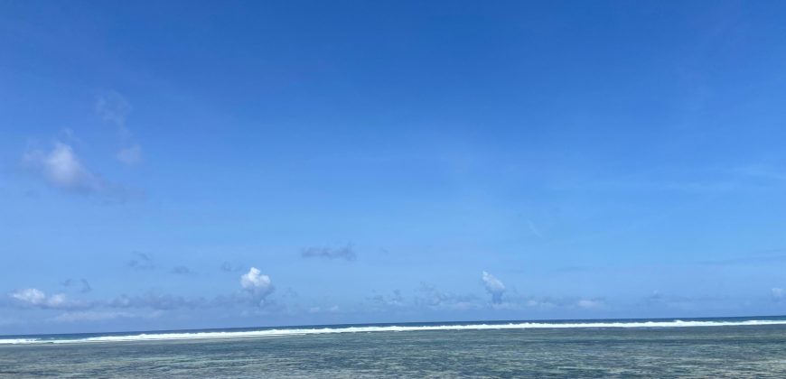 Prime 1 Acre Beach Front For Sale in Vipingo