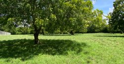 Prime Beach Front Land With Mature Indigenous Trees