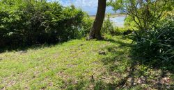 Prime Beach Front Land With Mature Indigenous Trees