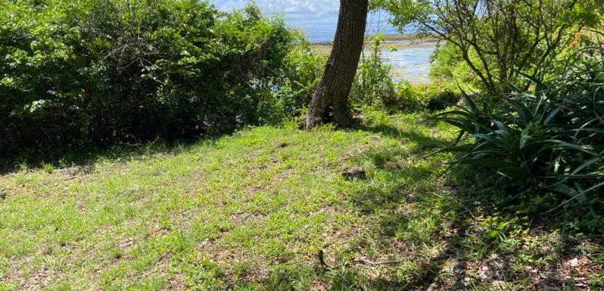 Prime Beach Front Land With Mature Indigenous Trees