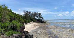Prime Beach Front Land With Mature Indigenous Trees