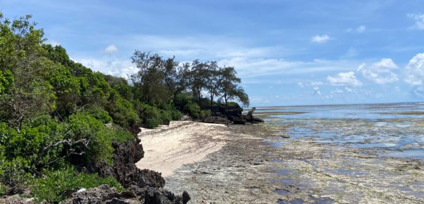 Prime Beach Front Land With Mature Indigenous Trees