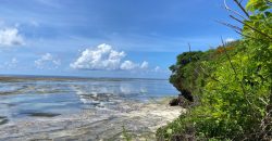 Prime Beach Front Land With Mature Indigenous Trees