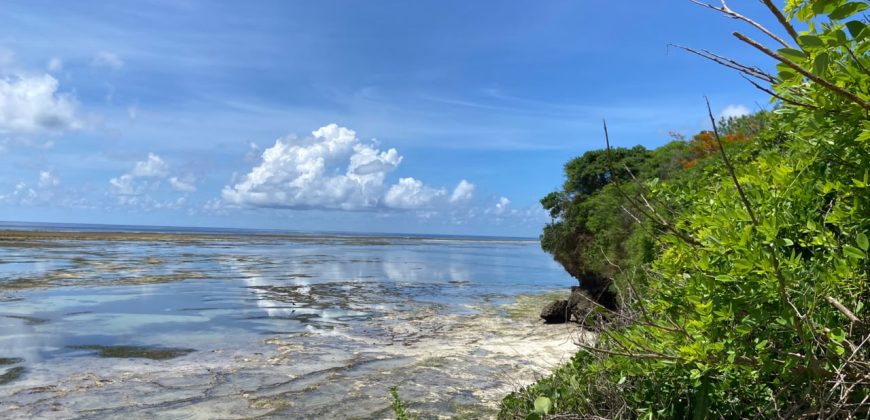 Prime Beach Front Land With Mature Indigenous Trees