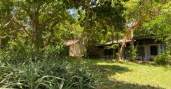 Prime Beach Front Land With Mature Indigenous Trees