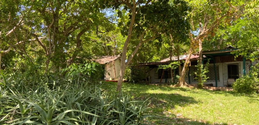 Prime Beach Front Land With Mature Indigenous Trees