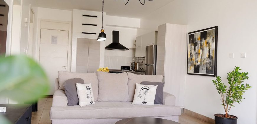 Luxury Furnished 2 Bedroom Apartments in Westlands