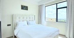 New Luxury Furnished 2 Bedroom Apartment For Rent Kilimani