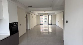 Modern New Spacious 2 Bedroom Apartment for rent Kilimani