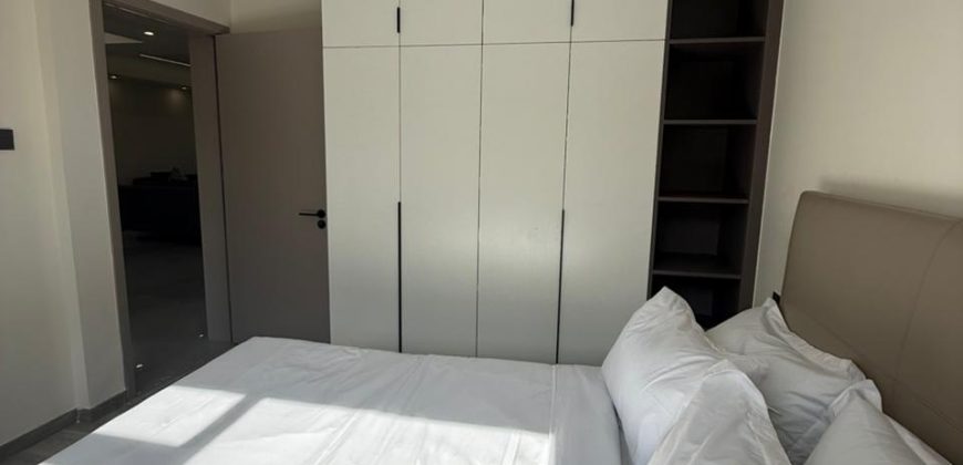 Modern Luxury 3 Bedroom For Rent in Kilimani