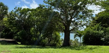 3 Bedroom Waterfront House For Sale in Shanzu