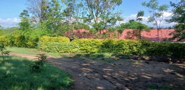 School in Mwea For Sale